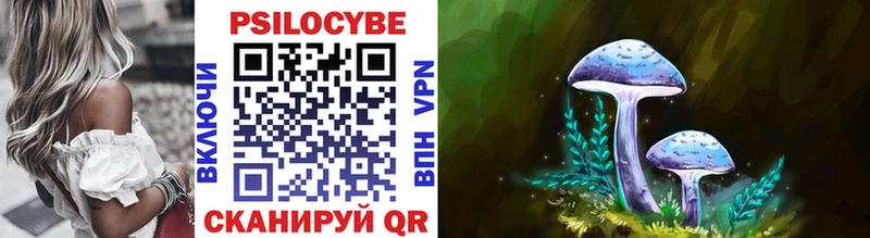 OMG вход  Ува  Псилоцибиновые грибы Psilocybe 